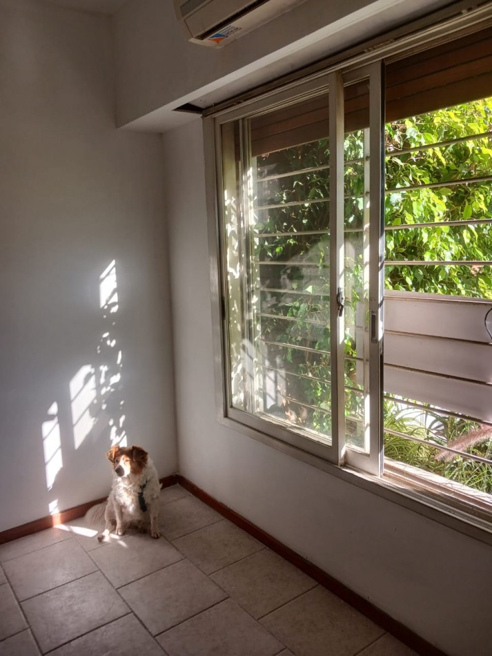 Avellaneda 162 - Unico depto en planta baja con patio