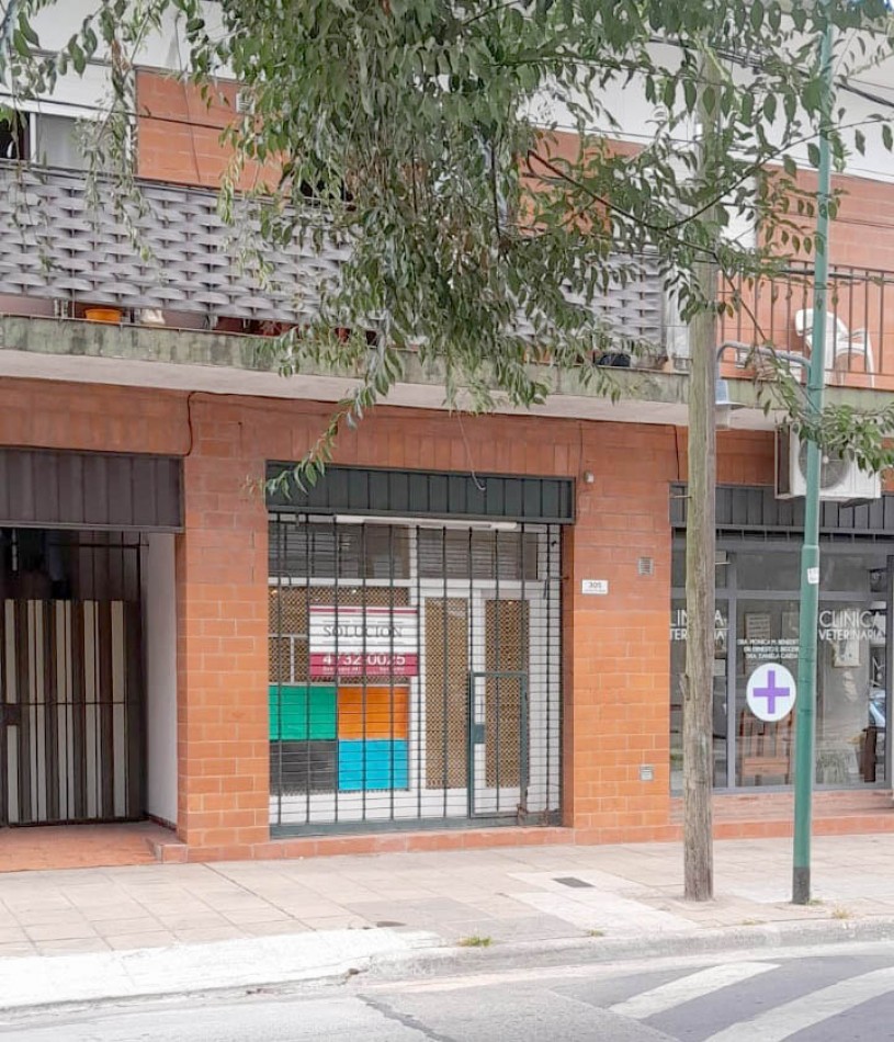 Jacinto Diaz 305. Local con subsuelo.